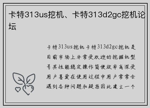 卡特313us挖机、卡特313d2gc挖机论坛
