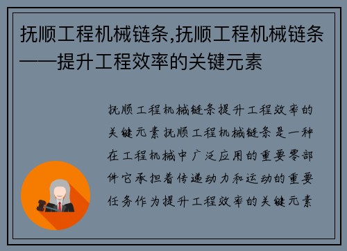 抚顺工程机械链条,抚顺工程机械链条——提升工程效率的关键元素