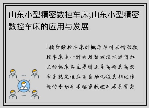 山东小型精密数控车床;山东小型精密数控车床的应用与发展